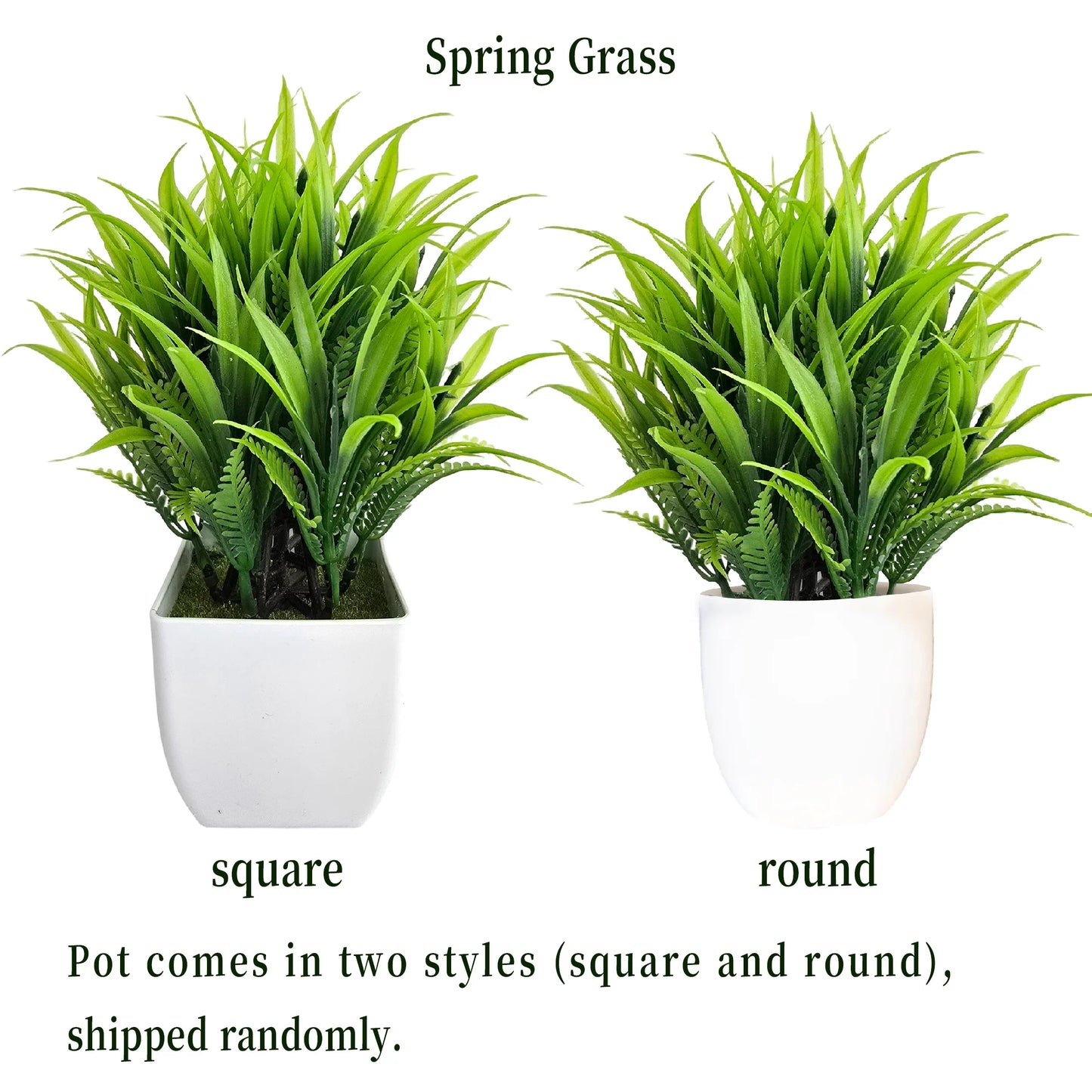 EverGreen Mini Plant