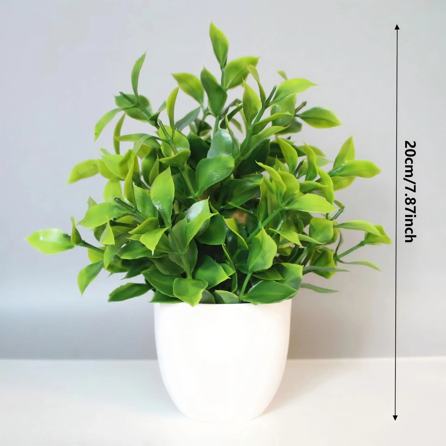EverGreen Mini Plant