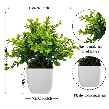 EverGreen Mini Plant
