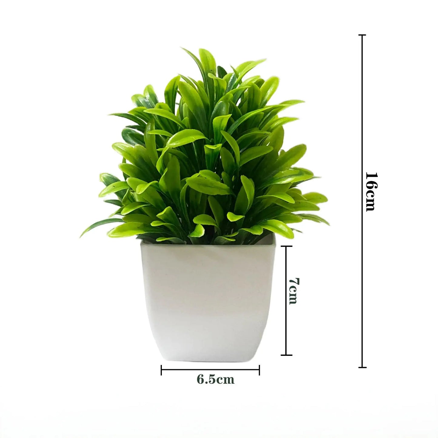 EverGreen Mini Plant