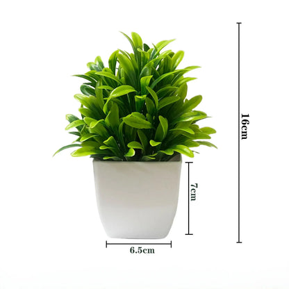 EverGreen Mini Plant