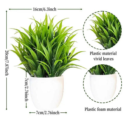EverGreen Mini Plant
